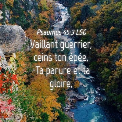 Picture 04 - Psaumes 45:3 LSG - Vaillant guerrier, ceins ton épée, -Ta parure - Bible Verse Picture