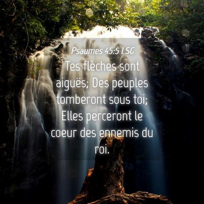 Picture 04 - Psaumes 45:5 LSG - Tes flèches sont aiguës; Des peuples tomberont - Bible Verse Picture