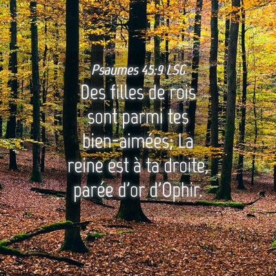 Picture 04 - Psaumes 45:9 LSG - Des filles de rois sont parmi tes bien-aimées; - Bible Verse Picture