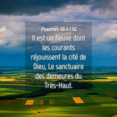 Picture 04 - Psaumes 46:4 LSG - Il est un fleuve dont les courants réjouissent - Bible Verse Picture