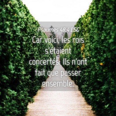 Picture 04 - Psaumes 48:4 LSG - Car voici, les rois s'étaient concertés: Ils - Bible Verse Picture
