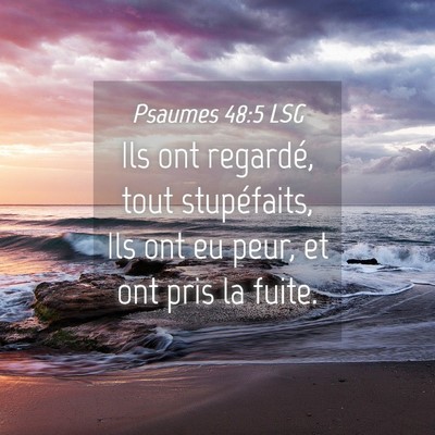 Picture 04 - Psaumes 48:5 LSG - Ils ont regardé, tout stupéfaits, Ils ont eu - Bible Verse Picture