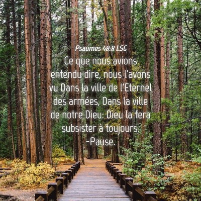 Picture 04 - Psaumes 48:8 LSG - Ce que nous avions entendu dire, nous l'avons vu - Bible Verse Picture