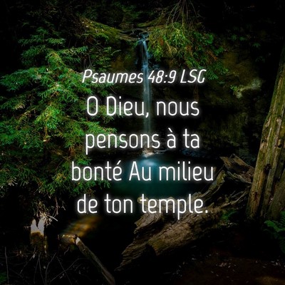 Picture 04 - Psaumes 48:9 LSG - O Dieu, nous pensons à ta bonté Au milieu de - Bible Verse Picture