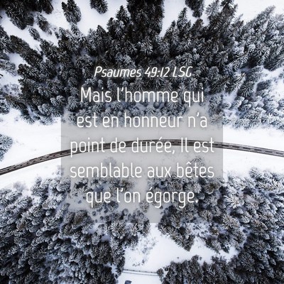 Picture 04 - Psaumes 49:12 LSG - Mais l'homme qui est en honneur n'a point de - Bible Verse Picture