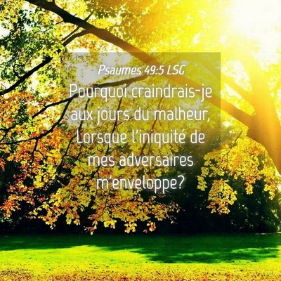 Picture 04 - Psaumes 49:5 LSG - Pourquoi craindrais-je aux jours du malheur, - Bible Verse Picture