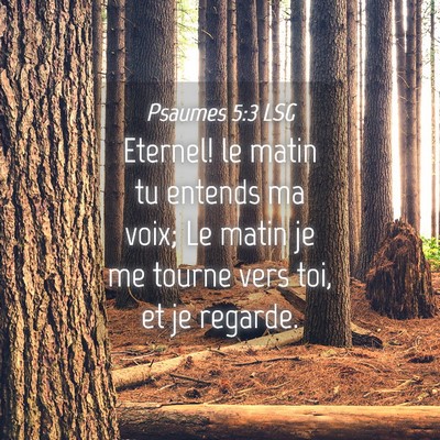 Picture 04 - Psaumes 5:3 LSG - Eternel! le matin tu entends ma voix; Le matin je - Bible Verse Picture