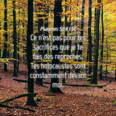 Picture 04 - Psaumes 50:8 LSG - Ce n'est pas pour tes sacrifices que je te fais - Bible Verse Picture