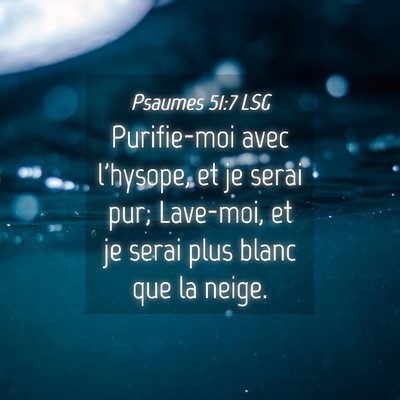 Picture 04 - Psaumes 51:7 LSG - Purifie-moi avec l'hysope, et je serai pur; - Bible Verse Picture