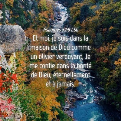 Picture 04 - Psaumes 52:8 LSG - Et moi, je suis dans la maison de Dieu comme un - Bible Verse Picture