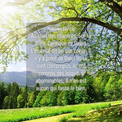Picture 04 - Psaumes 53:1 LSG - Au chef des chantres. Sur la flûte. Cantique de - Bible Verse Picture