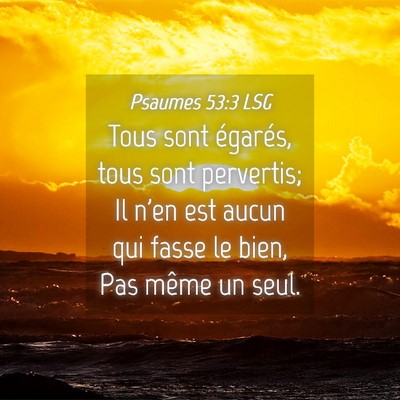 Picture 04 - Psaumes 53:3 LSG - Tous sont égarés, tous sont pervertis; Il n'en - Bible Verse Picture