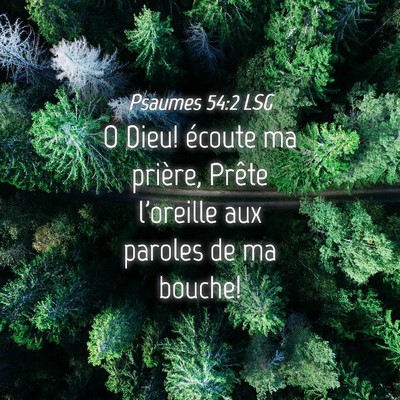 Picture 04 - Psaumes 54:2 LSG - O Dieu! écoute ma prière, Prête l'oreille aux - Bible Verse Picture