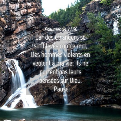Picture 04 - Psaumes 54:3 LSG - Car des étrangers se sont levés contre moi, Des - Bible Verse Picture