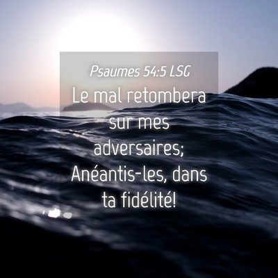 Picture 04 - Psaumes 54:5 LSG - Le mal retombera sur mes adversaires; - Bible Verse Picture