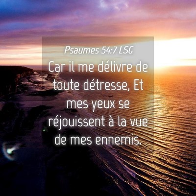 Picture 04 - Psaumes 54:7 LSG - Car il me délivre de toute détresse, Et mes - Bible Verse Picture