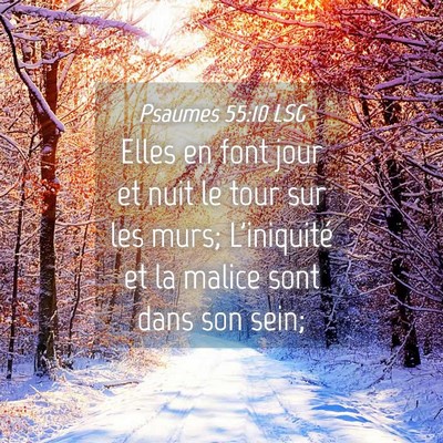 Picture 04 - Psaumes 55:10 LSG - Elles en font jour et nuit le tour sur les murs; - Bible Verse Picture
