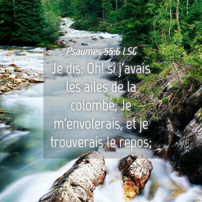 Picture 04 - Psaumes 55:6 LSG - Je dis: Oh! si j'avais les ailes de la colombe, - Bible Verse Picture