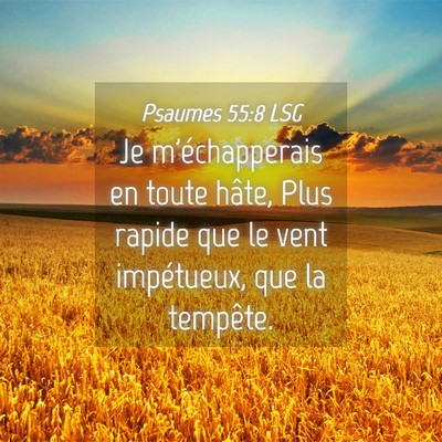 Picture 04 - Psaumes 55:8 LSG - Je m'échapperais en toute hâte, Plus rapide que - Bible Verse Picture