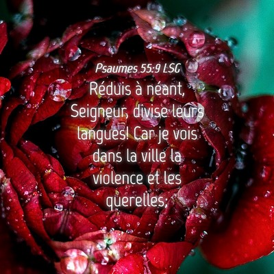 Picture 04 - Psaumes 55:9 LSG - Réduis à néant, Seigneur, divise leurs - Bible Verse Picture