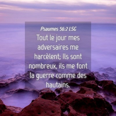 Picture 04 - Psaumes 56:2 LSG - Tout le jour mes adversaires me harcèlent; Ils - Bible Verse Picture