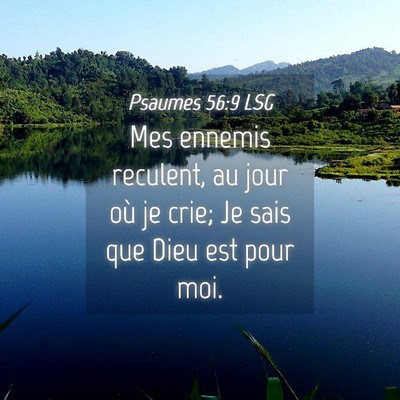 Picture 04 - Psaumes 56:9 LSG - Mes ennemis reculent, au jour où je crie; Je - Bible Verse Picture