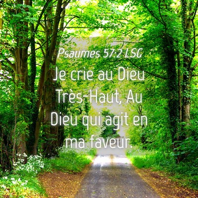 Picture 04 - Psaumes 57:2 LSG - Je crie au Dieu Très-Haut, Au Dieu qui agit en - Bible Verse Picture