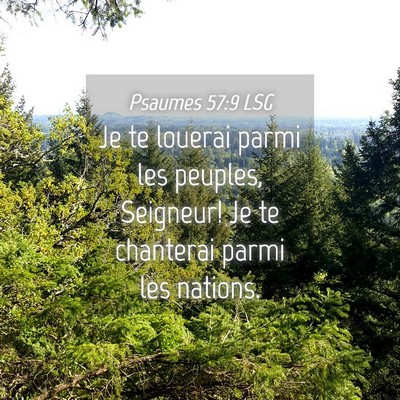 Picture 04 - Psaumes 57:9 LSG - Je te louerai parmi les peuples, Seigneur! Je te - Bible Verse Picture