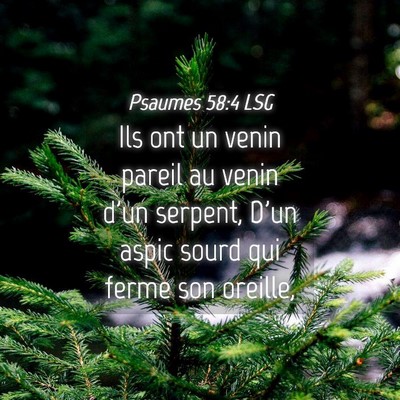 Picture 04 - Psaumes 58:4 LSG - Ils ont un venin pareil au venin d'un serpent, - Bible Verse Picture