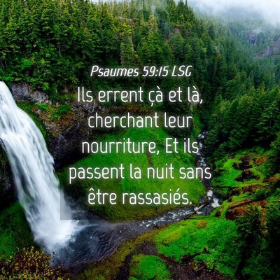 Picture 04 - Psaumes 59:15 LSG - Ils errent çà et là, cherchant leur - Bible Verse Picture