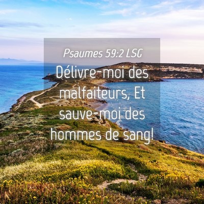 Picture 04 - Psaumes 59:2 LSG - Délivre-moi des malfaiteurs, Et sauve-moi des - Bible Verse Picture