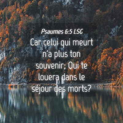 Picture 04 - Psaumes 6:5 LSG - Car celui qui meurt n'a plus ton souvenir; Qui te - Bible Verse Picture