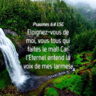 Picture 04 - Psaumes 6:8 LSG - Eloignez-vous de moi, vous tous qui faites le - Bible Verse Picture