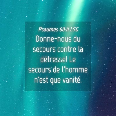 Picture 04 - Psaumes 60:11 LSG - Donne-nous du secours contre la détresse! Le - Bible Verse Picture