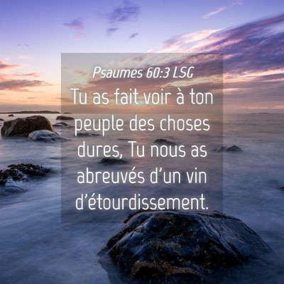 Picture 04 - Psaumes 60:3 LSG - Tu as fait voir à ton peuple des choses dures, - Bible Verse Picture