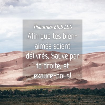 Picture 04 - Psaumes 60:5 LSG - Afin que tes bien-aimés soient délivrés, Sauve - Bible Verse Picture