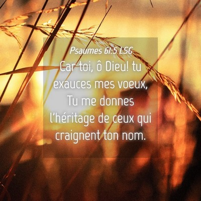 Picture 04 - Psaumes 61:5 LSG - Car toi, ô Dieu! tu exauces mes voeux, Tu me - Bible Verse Picture