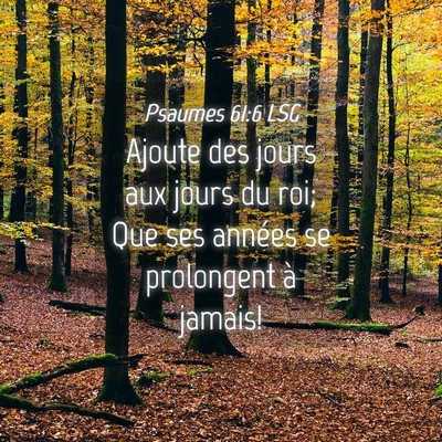 Picture 04 - Psaumes 61:6 LSG - Ajoute des jours aux jours du roi; Que ses - Bible Verse Picture