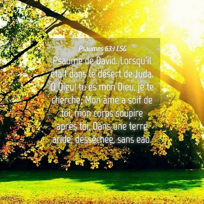 Picture 04 - Psaumes 63:1 LSG - Psaume de David. Lorsqu'il était dans le désert - Bible Verse Picture