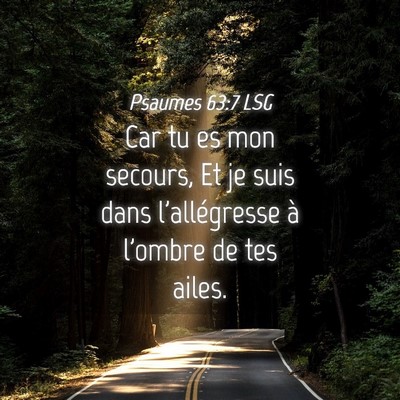 Picture 04 - Psaumes 63:7 LSG - Car tu es mon secours, Et je suis dans - Bible Verse Picture