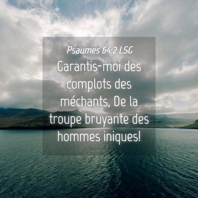 Picture 04 - Psaumes 64:2 LSG - Garantis-moi des complots des méchants, De la - Bible Verse Picture