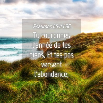 Picture 04 - Psaumes 65:11 LSG - Tu couronnes l'année de tes biens, Et tes pas - Bible Verse Picture