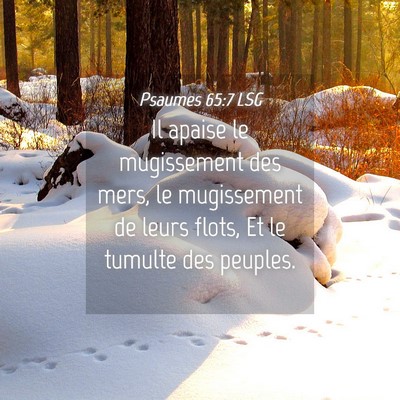 Picture 04 - Psaumes 65:7 LSG - Il apaise le mugissement des mers, le mugissement - Bible Verse Picture
