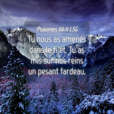 Picture 04 - Psaumes 66:11 LSG - Tu nous as amenés dans le filet, Tu as mis sur - Bible Verse Picture