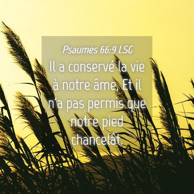 Picture 04 - Psaumes 66:9 LSG - Il a conservé la vie à notre âme, Et il n'a - Bible Verse Picture