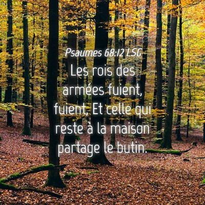 Picture 04 - Psaumes 68:12 LSG - Les rois des armées fuient, fuient, Et celle qui - Bible Verse Picture