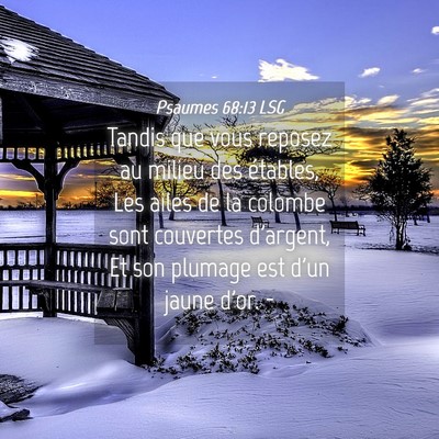 Picture 04 - Psaumes 68:13 LSG - Tandis que vous reposez au milieu des étables, - Bible Verse Picture