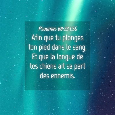 Picture 04 - Psaumes 68:23 LSG - Afin que tu plonges ton pied dans le sang, Et que - Bible Verse Picture