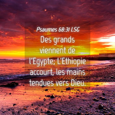 Picture 04 - Psaumes 68:31 LSG - Des grands viennent de l'Egypte; L'Ethiopie - Bible Verse Picture