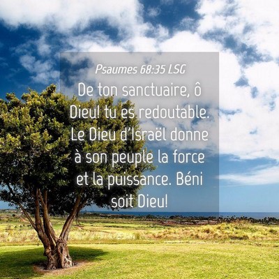 Picture 04 - Psaumes 68:35 LSG - De ton sanctuaire, ô Dieu! tu es redoutable. Le - Bible Verse Picture